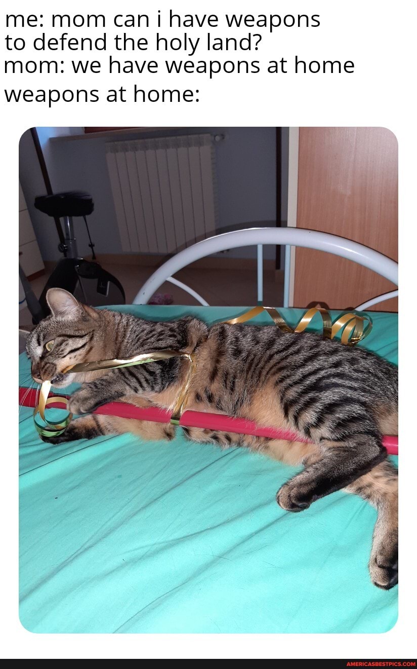 me: mom can i have weapons to defend the holy land? mom: we have weapons at home
weapons at home: