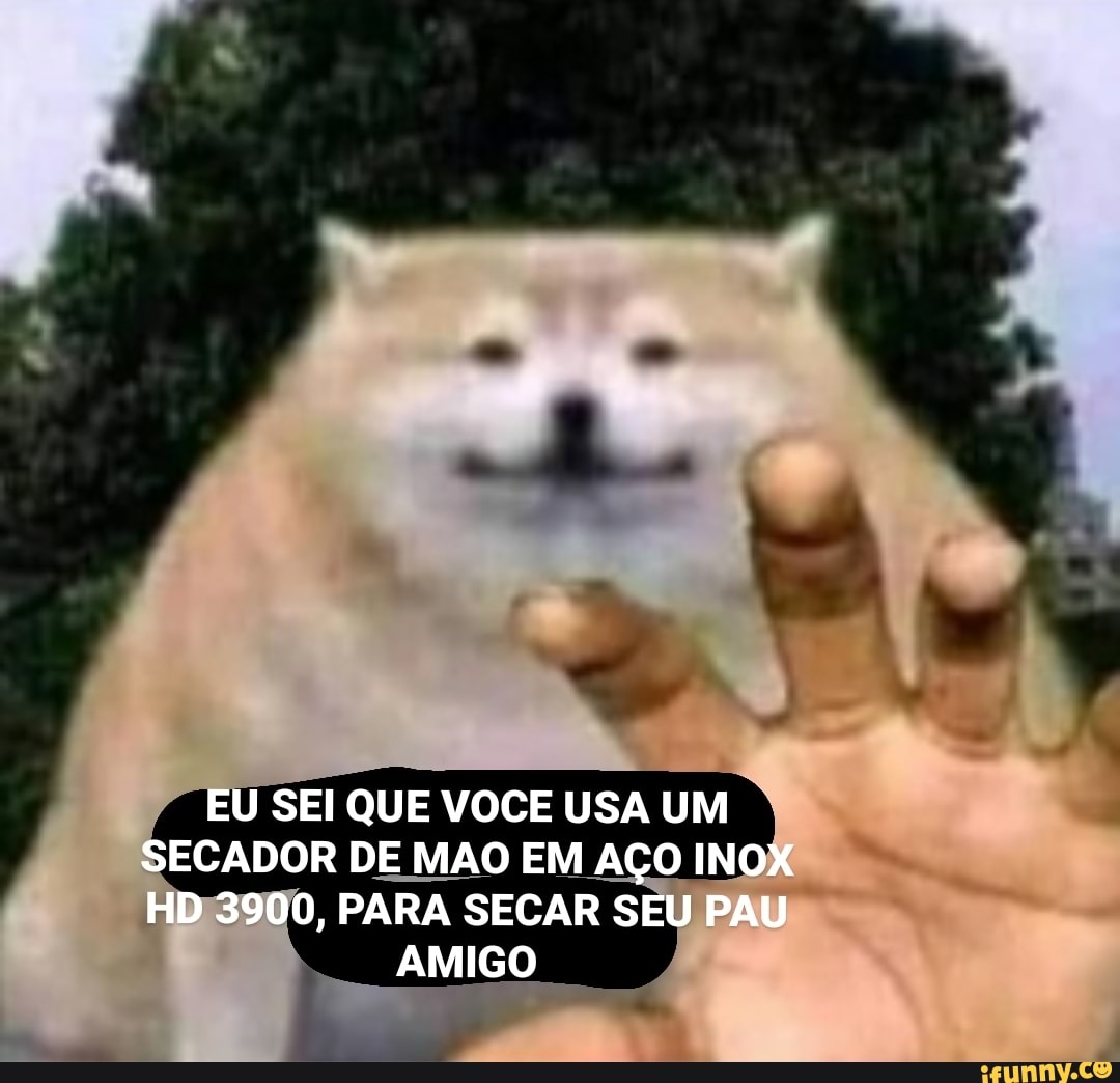 EU SEI QUE VOCE USA UM SECADOR DE MAO EM AÇO INOX HD 3900, PARA SECAR SEU PAU
AMIGO