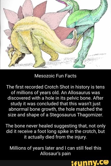 Mesozoic Fun Facts The first recorded Crotch Shot in history is tens of ...