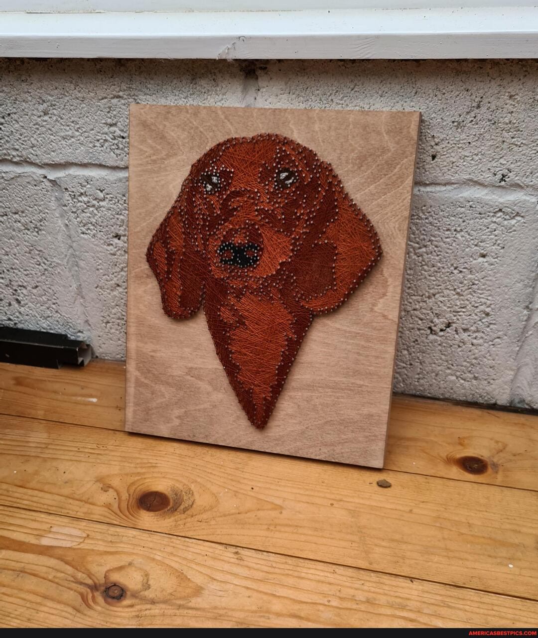 500, nails, good, hours, stringing, later, sausage, dog, design, sh