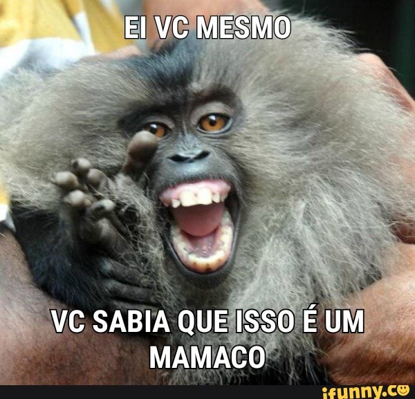 EI VC MESMO
VC SABIA QUE ISSO É UM MAMACO