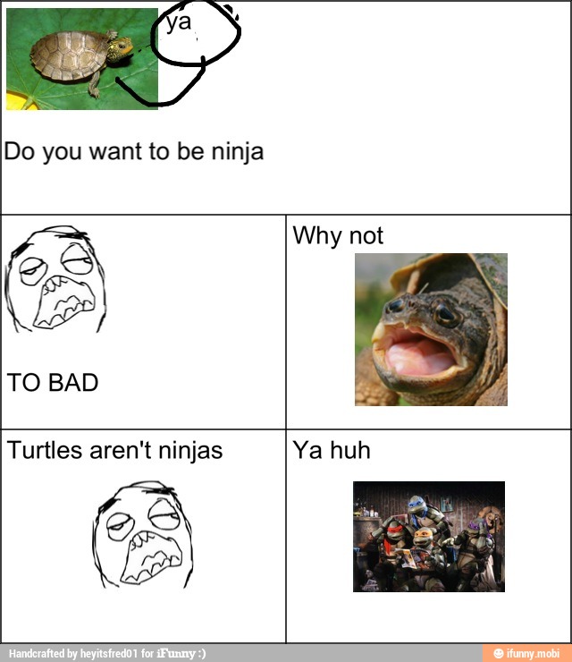 TO BAD
Why not
Turtles aren't ninjas