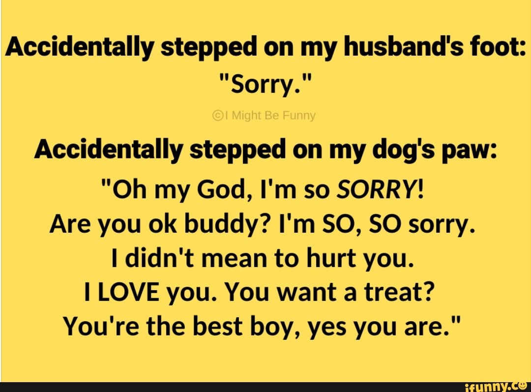 Accidentally Stepped On My Husband S Foot Sorry Accidentally Stepped On My Dog S Paw Oh My God I M So Sorry Are You Ok Buddy I M So So Sorry I Didn T Mean To Hurt