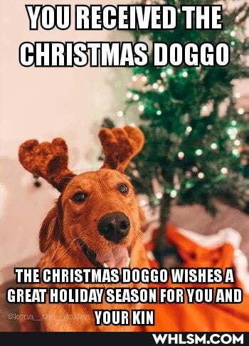 YOU RECEIVED THE CHRISTMAS DOGGO
THE CHRISTHAS DOGGO WISHES A GREAT HOLIDAY SEASON FOR YOU ARD