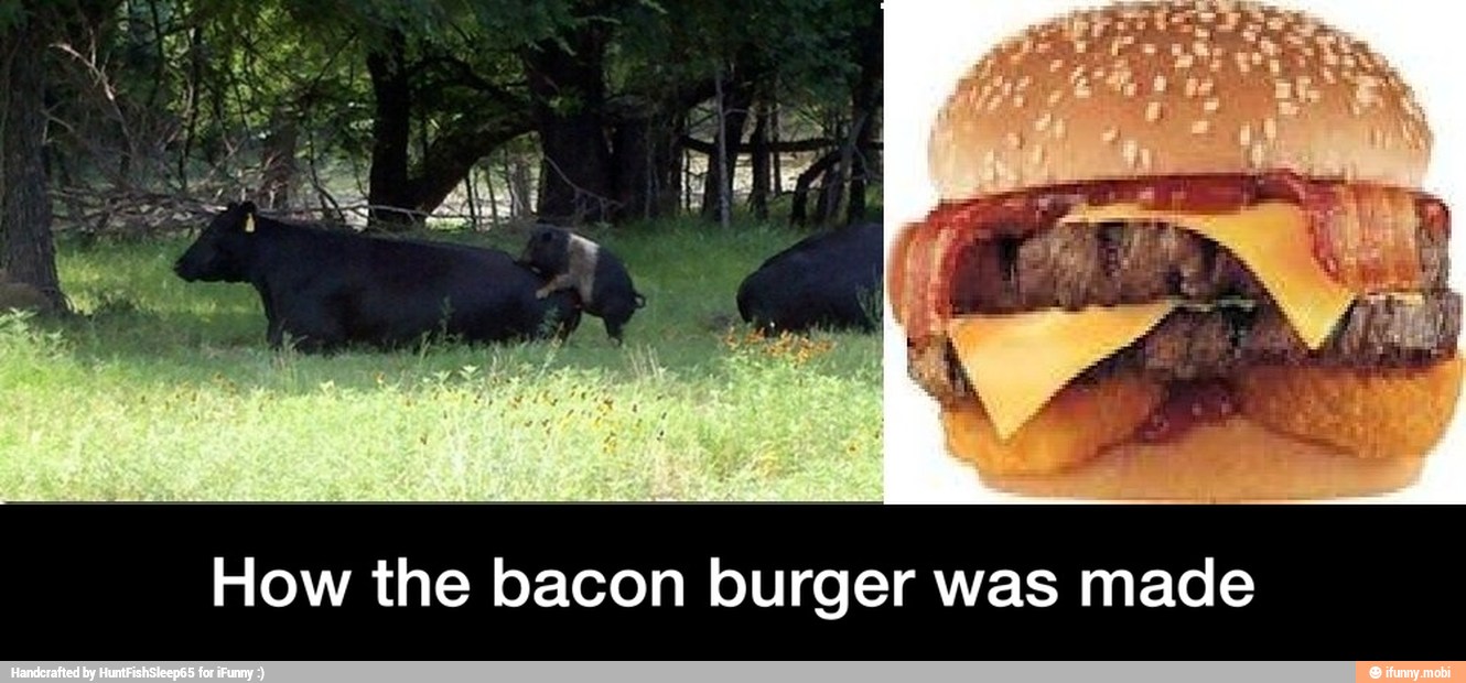 How the bacon burger was made - How the bacon burger was made