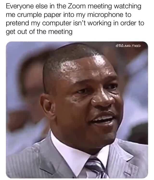 Some curated memes for your pleasure Everyone else in the Zoom