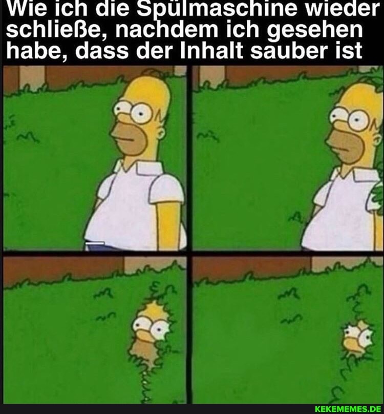 Wie ich die Spulmaschine wieder
schließe, nachdem ich gesehen
habe, dass der Inhalt sauber ist