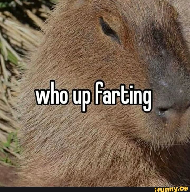 who up Farting