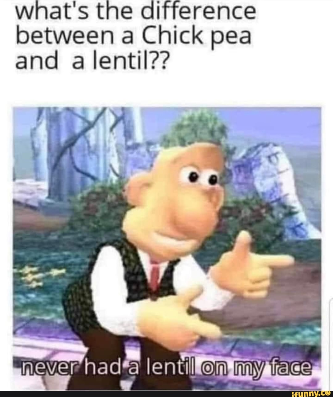 What's the difference between a Chick pea and lentil?? mever hadea