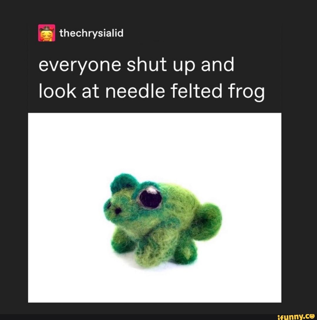 everyone shut up and
look at needle felted frog