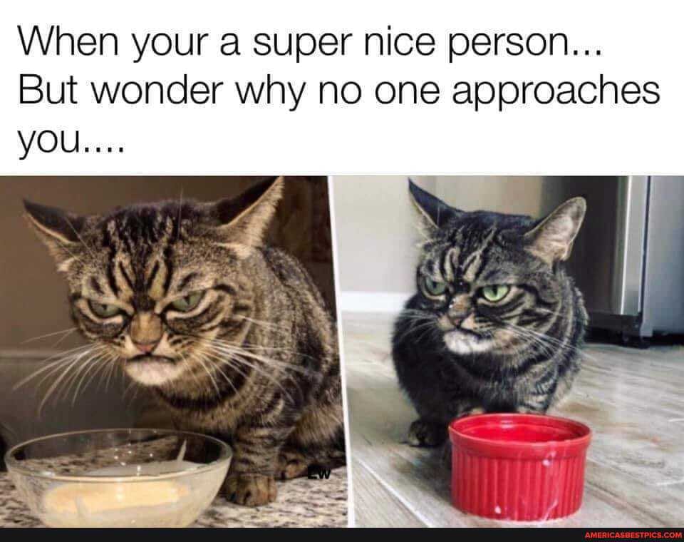 When your Super nice person...
But wonder why no one approaches you