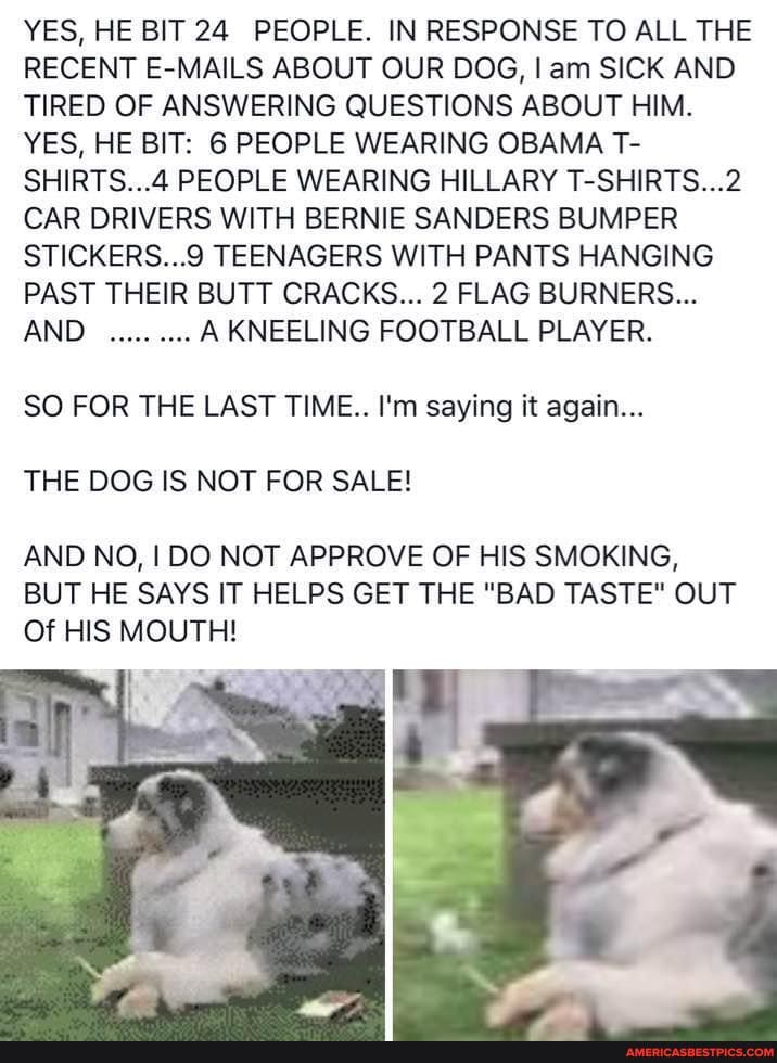 YES, HE BIT 24 PEOPLE. IN RESPONSE TO ALL THE RECENT E-MAILS ABOUT OUR DOG, am SICK AND TIRED OF ANSWERING QUESTIONS ABOUT HIM.
YES, HE BIT: 6 PEOPLE WEARING OBAMA T-
SHIRTS...4 PEOPLE WEARING HILLARY T-SHIRTS...2
CAR DRIVERS WITH BERNIE SANDERS BUMPER STICKERS...9 TEENAGERS WITH PANTS HANGING PAST THEIR BUTT CRACKS... 2 FLAG BURNERS...
AND A KNEELING FOOTBALL PLAYER.
SO FOR THE LAST TIME.. I'm saying it again...
THE DOG IS NOT FOR SALE!
AND NO, I DO NOT APPROVE OF HIS SMOKING,
BUT HE SAYS IT HELPS GET THE "BAD TASTE" OUT Of HIS MOUTH!