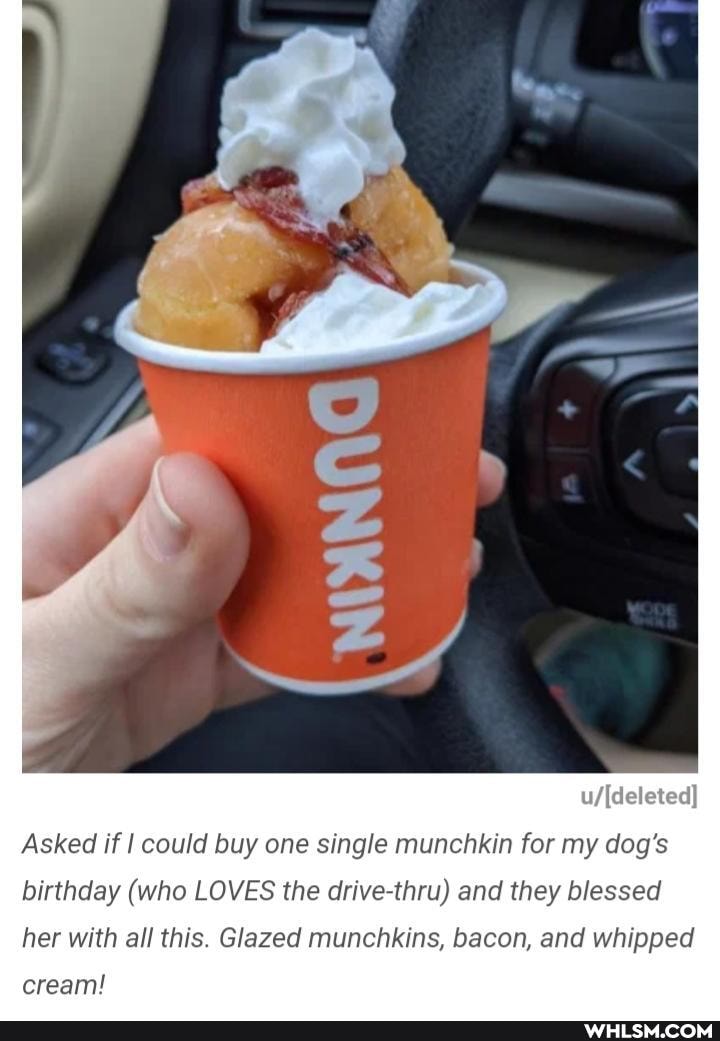 Asked if I could buy one single munchkin for my dog's birthday (who LOVES the drive and they blessed her with all this. Glazed munchkins, bacon, and whipped
cream!