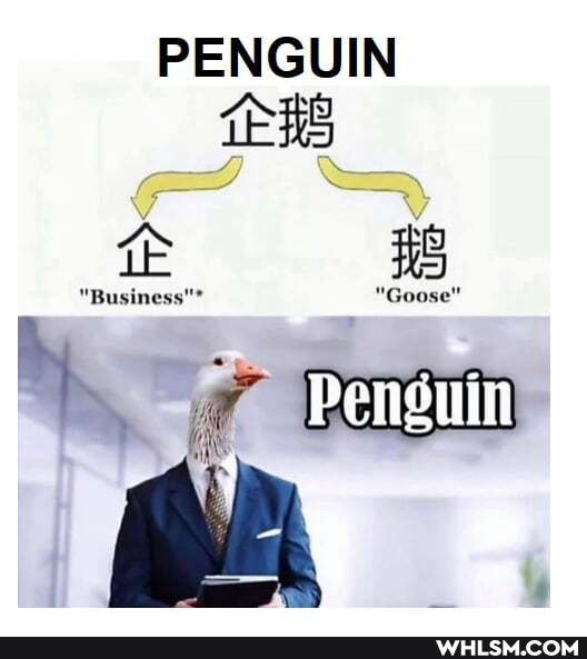 PENGUIN TERS
"Business Goose"
Penguin