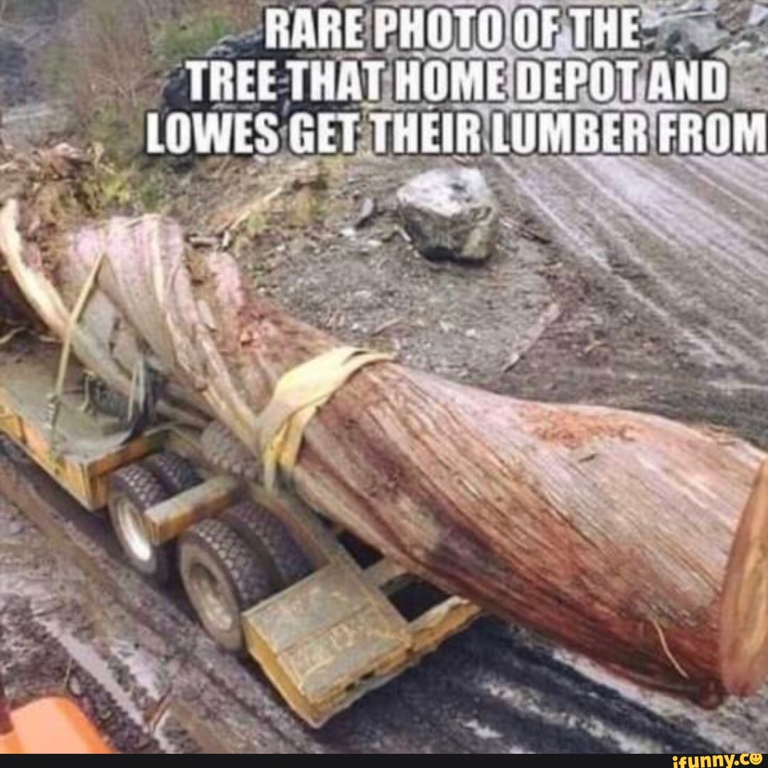 Lumbee memes. Best Collection of funny Lumbee pictures on iFunny, image size:1080x1080