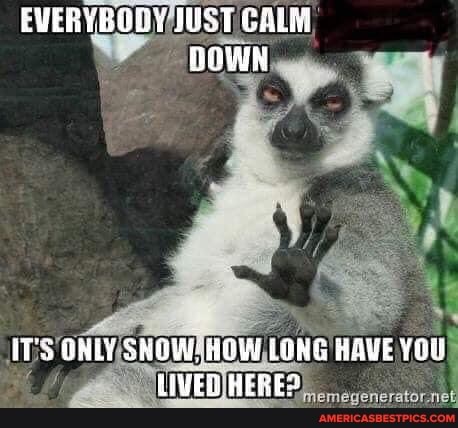 EVERYBODY IUST CALM OWN
IT'S GNLY SHOW: HGW LONG HAVE LIVED HERE?