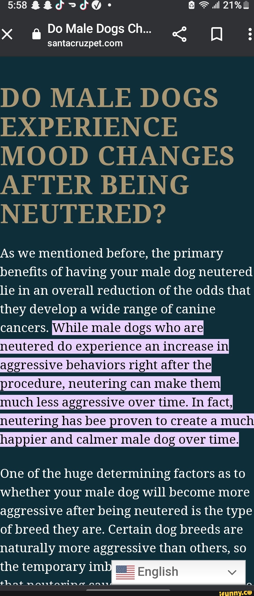 do dogs get more aggressive after being neutered