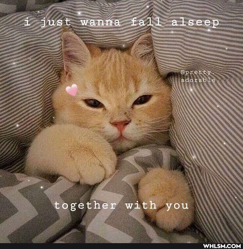 i just wanna fall alseep
together with you