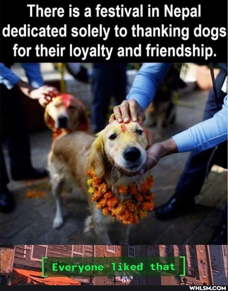 There is a festival in Nepal dedicated solely to thanking dogs for their loyalty and friendship.
Everyone
that