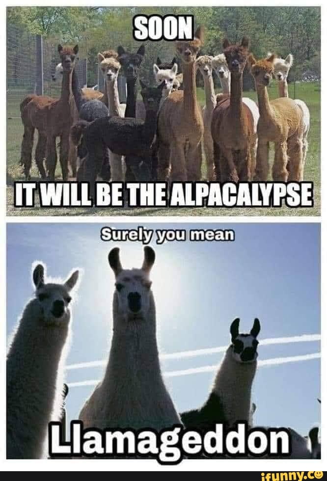 ER WiLL BE THE ALPACALYPSE Suy you mean Llamageddon - iFunny