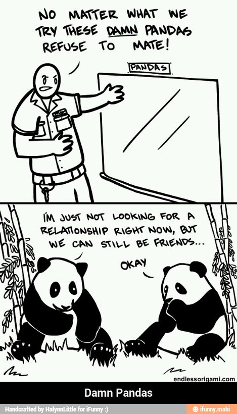 No MATTER WHAT WE
ARY MESE DAMN PANDAS
REFUSE To mate!
RELATIONSHIP RIGAT NOW, BT
Damn Pandas - Damn Pandas