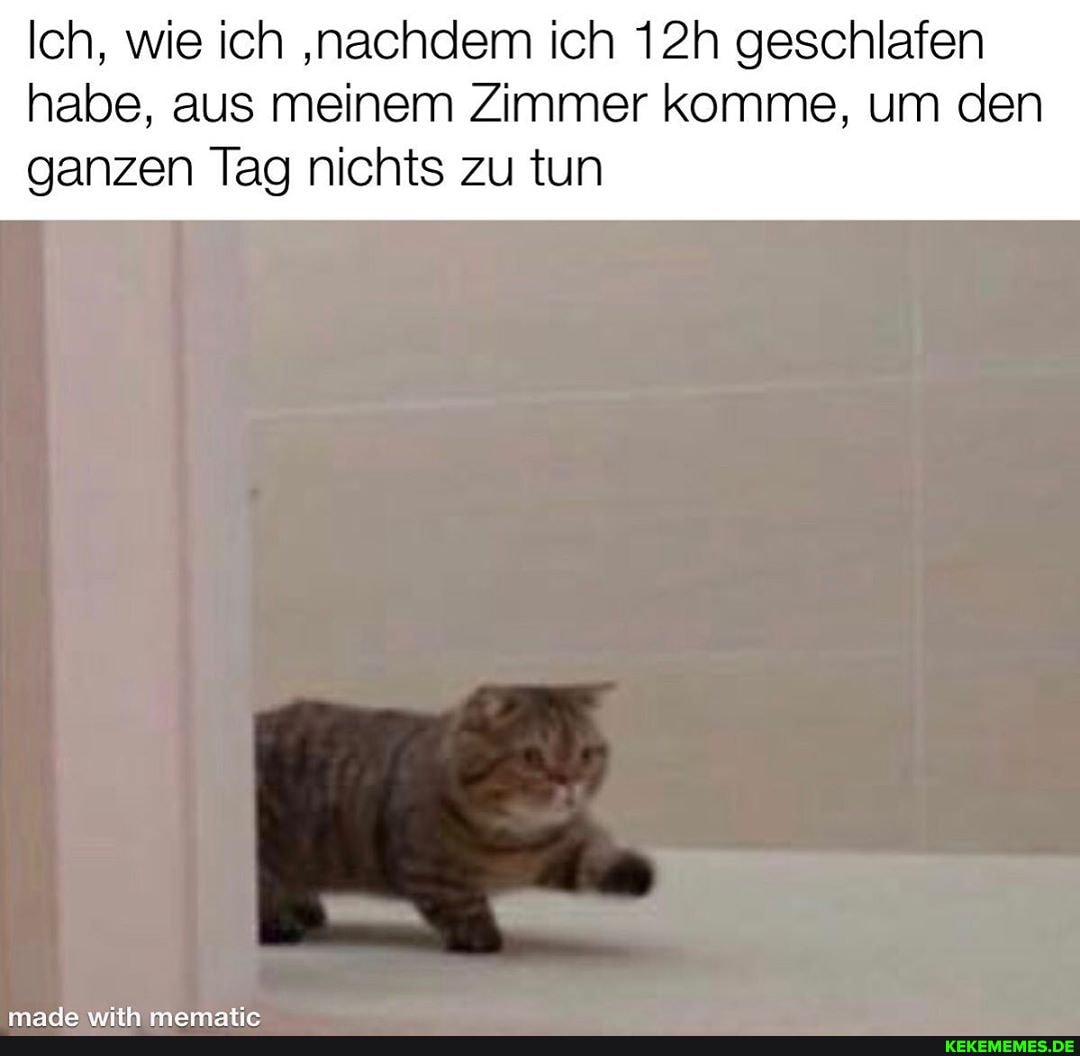 Ich, wie ich 'nachdem ich geschlafen habe, aus meinem Zimmer komme, um den
ganzen Tag nichts zu tun