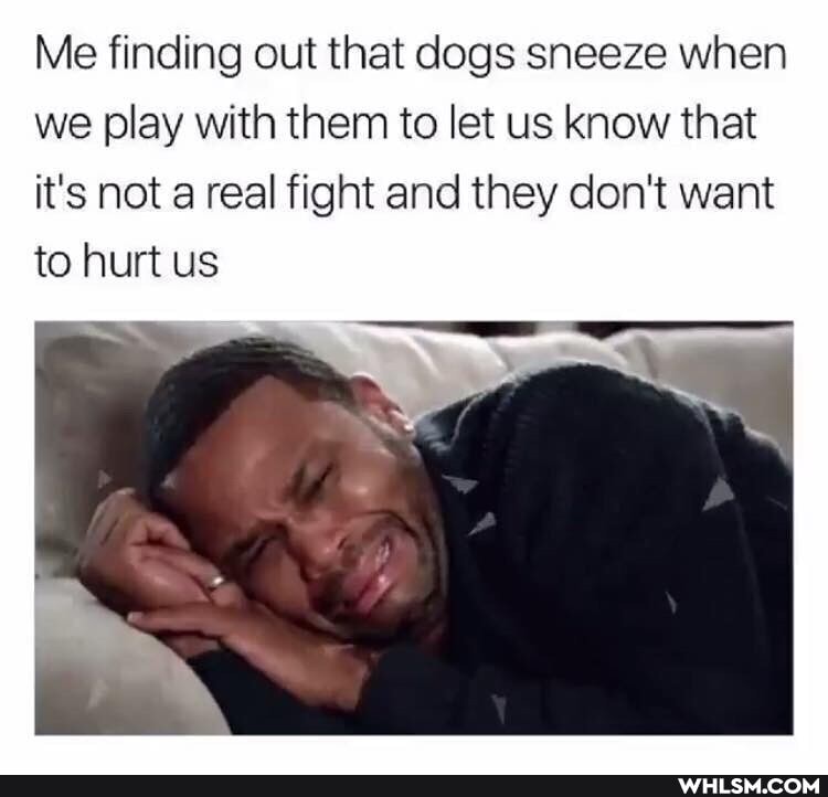 Me finding out that dogs sneeze when we play with them to let us know that it's not a real fight and they don't want to hurt us