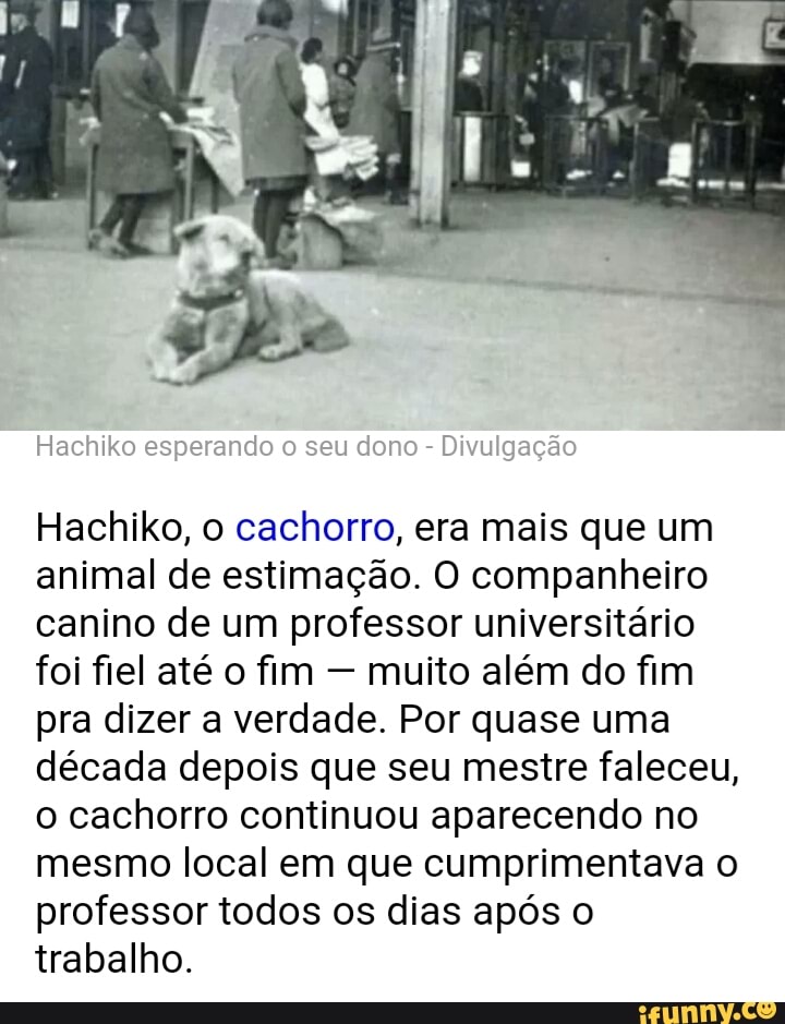 Hachiko esperando o seu dono Divulgação
Hachiko, o cachorro, era mais que um
animal de estimação. O companheiro
canino de um professor universitário
foi fiel até o fim muito além do fim
pra dizer a verdade. Por quase uma
década depois que seu mestre faleceu,
o cachorro continuou aparecendo no
mesmo local em que cumprimentava o
professor todos os dias após o
trabalho.