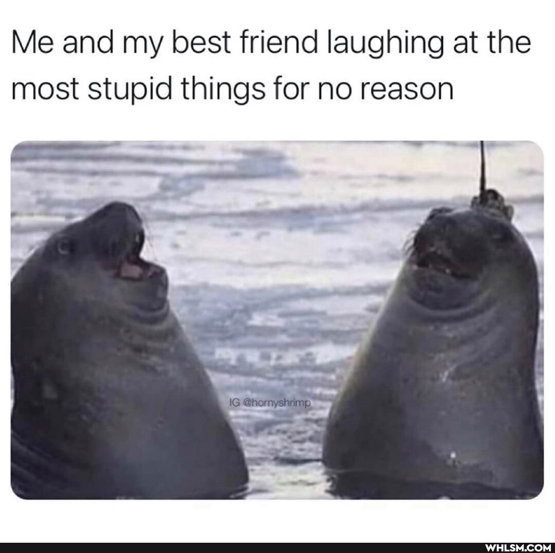 Me and my best friend laughing at the most stupid things for no reason