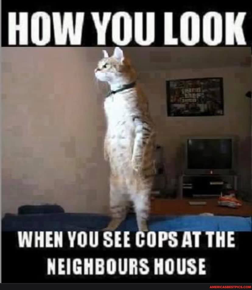 HOW YOU LOOK
WHEN YOU SEE COPS AT THE NEIGHBOURS HOUSE