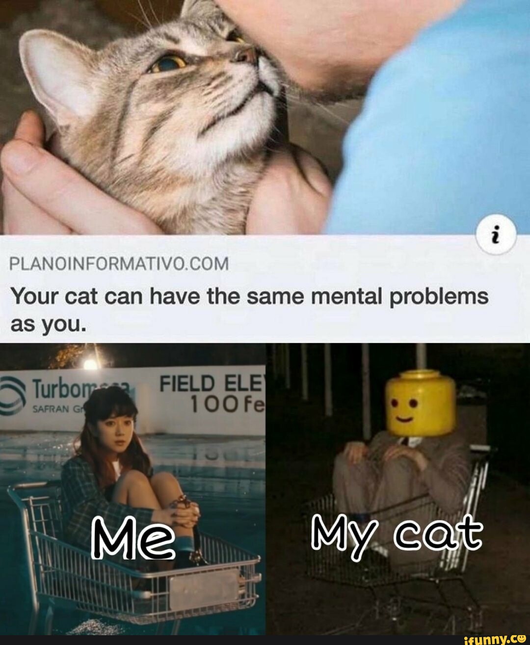 Have the same. Your Cat have the same Mental problems as you. Your Cat can have the same Mental problems as you meme. Have the same problem. Memes same.