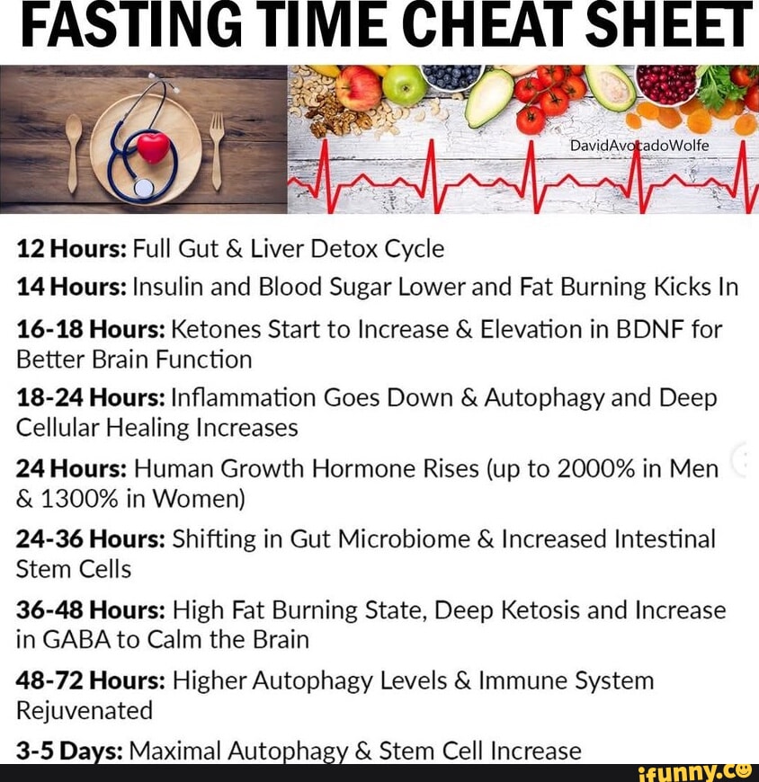 Gallery Detail: Fasting Time Cheat Sheet Davidavatadowolfe 12 Hours Full Gut Liver