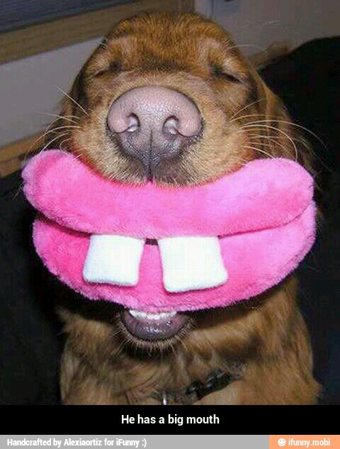 He has a big mouth - He has a big mouth