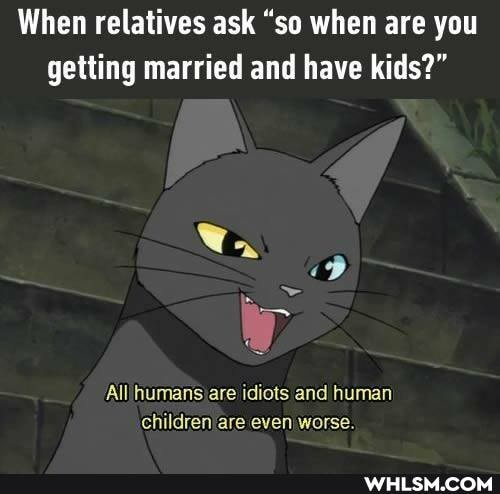 When relatives ask "so when are you getting married and have kids?"
All humans ate idiots and human children are even worse