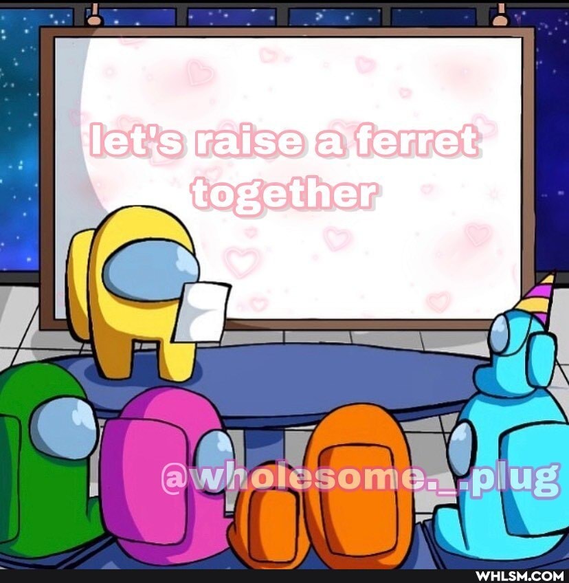 faise ferret
together