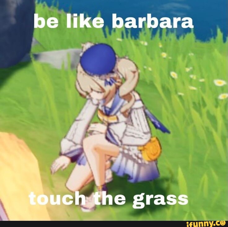 Touch grass : r/memes