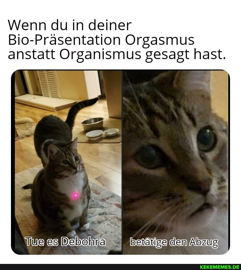 Wenn du in deiner
Bio-Präsentation Orgasmus anstatt Organismus gesagt hast.
Tus es betätige) den Abzug