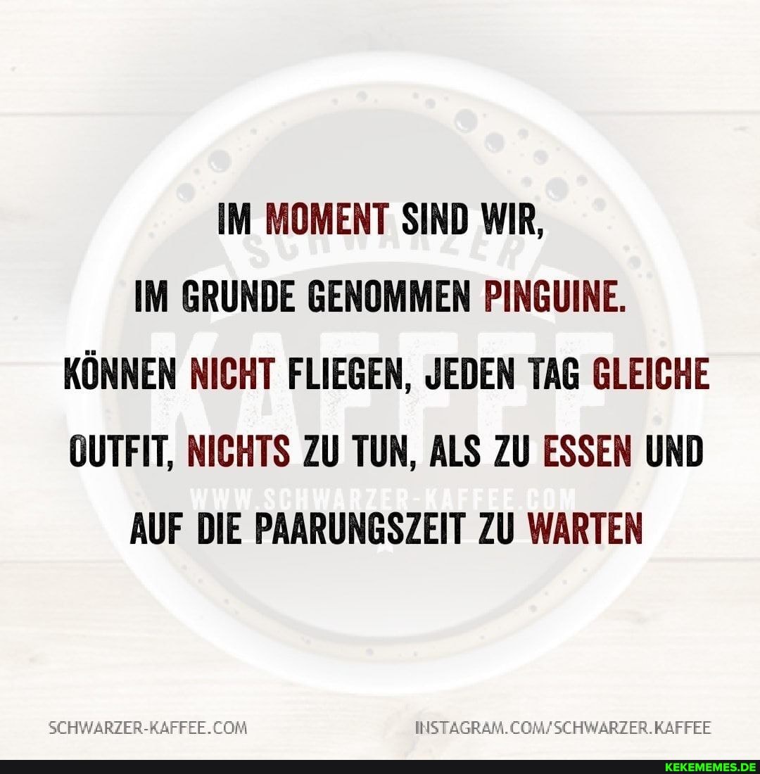 IM MOMENT SIND WIR,
IM GRUNDE GENOMMEN PINGUINE.
KÖNNEN NICHT FLIEGEN, JEDEN TAG GLEICHE OUTFIT, NICHTS ZU TUN, ALS ZU ESSEN UND
AUF DIE PAARUNGSZEIT ZU WARTEN
INSTAGRAM.