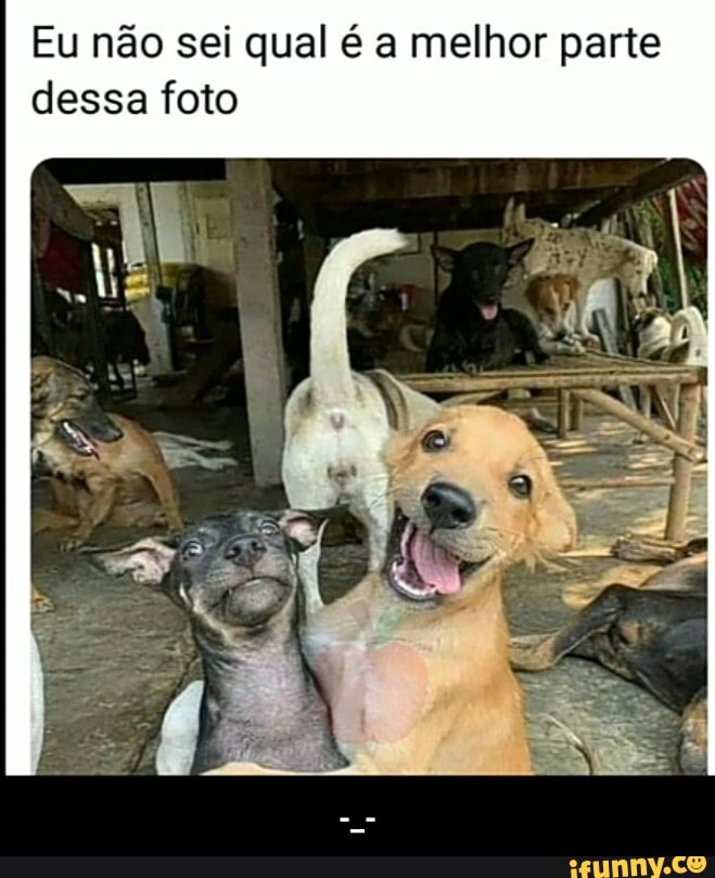 Eu não sei qual é a melhor parte dessa foto - -_-