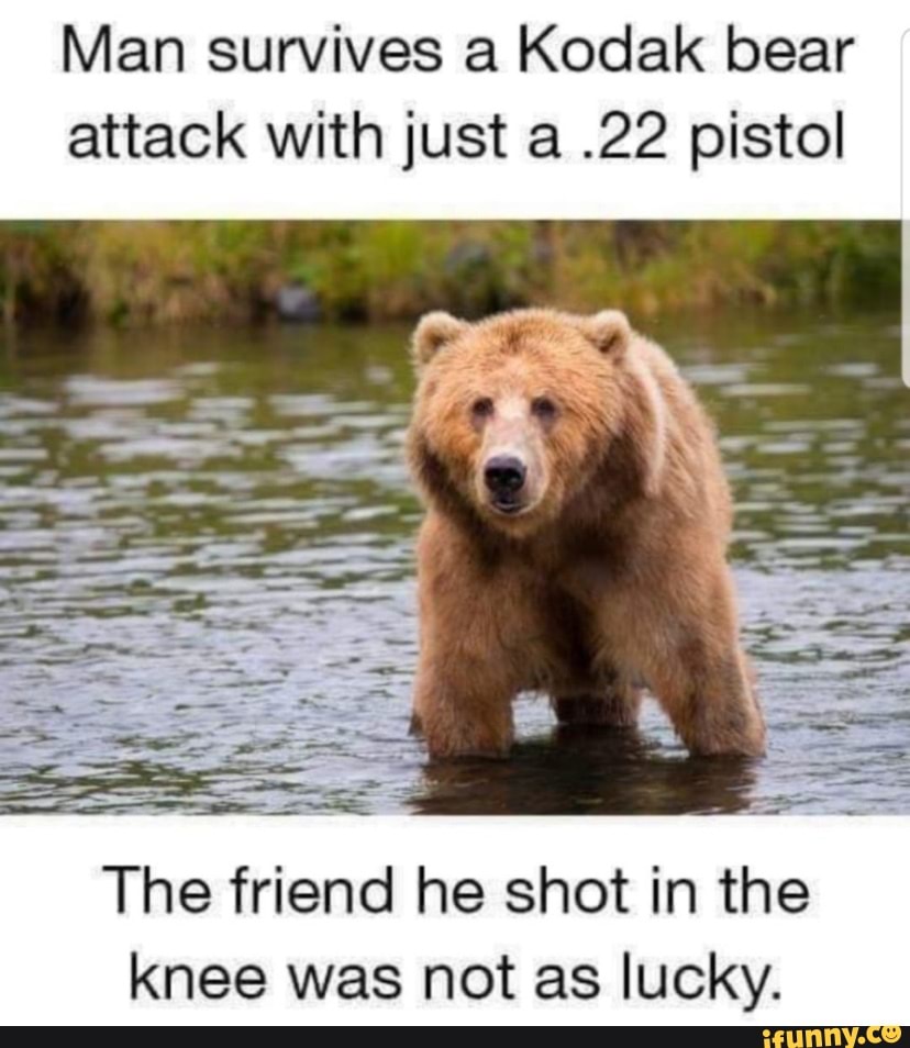 Man survives a Kodak bear attack with just a .22 pistol The friend he