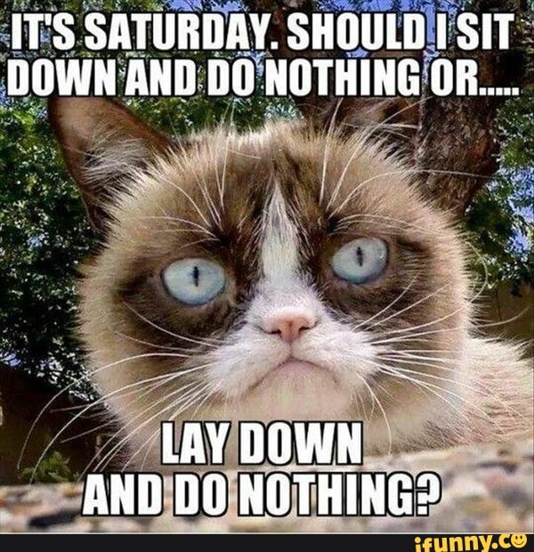 IT'S SATURDAY. SHOULD SIT DOWN AND DO NOTHING
LAY DOWN AND DO NOTHING?