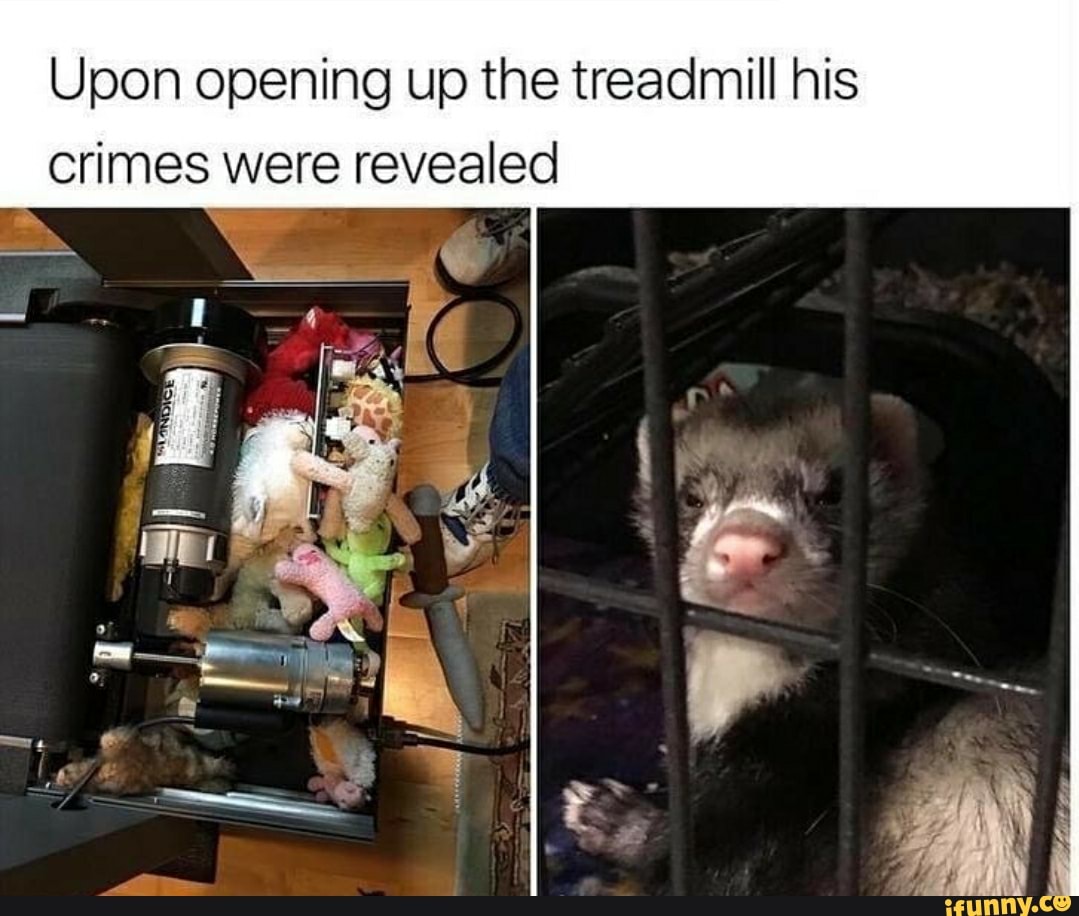 Upon opening up the treadmill his
crimes were revealed