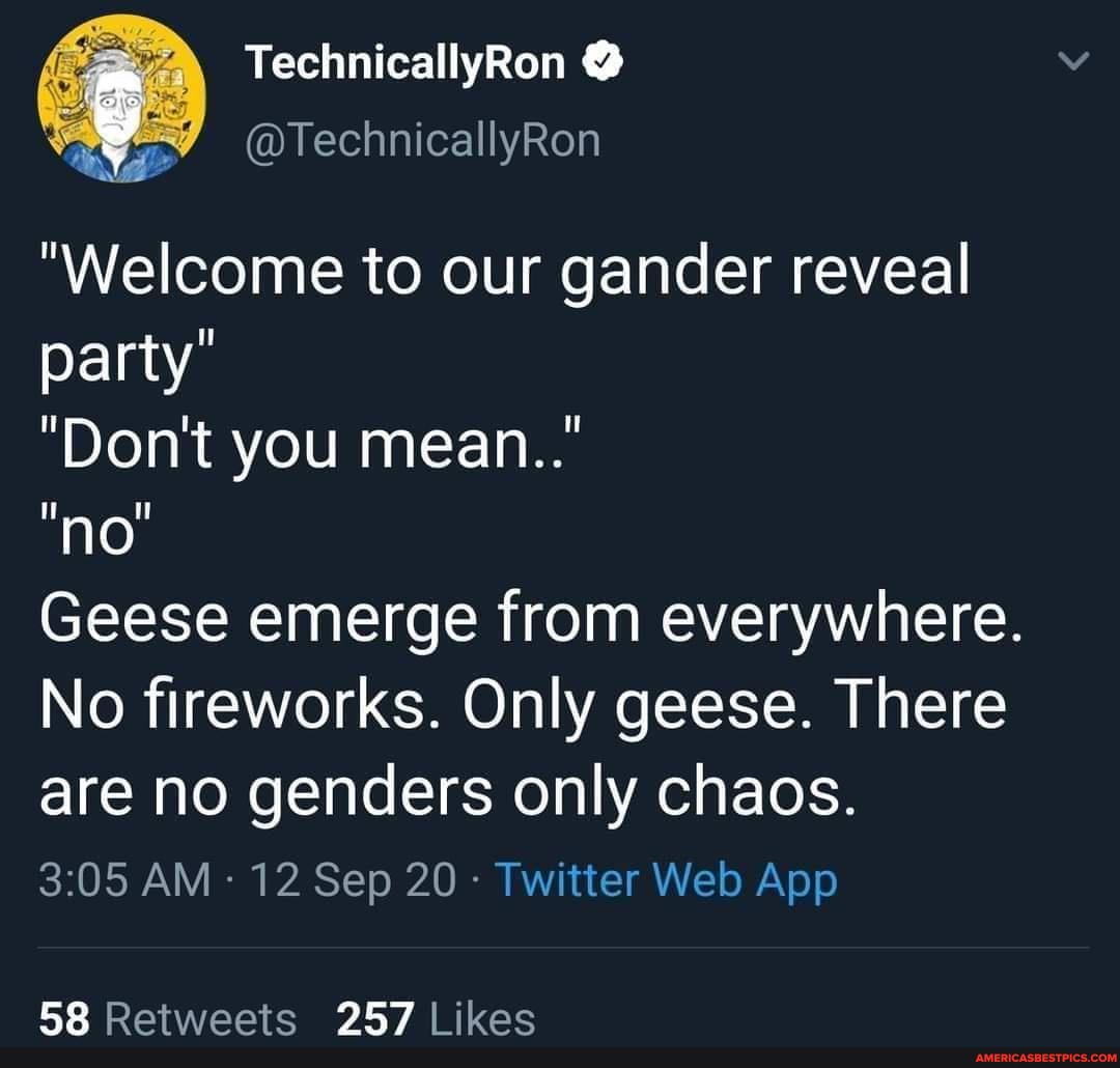 TechnicallyRon
"Welcome to our gander reveal
party"
"Don't you mean..."
Geese emerge from everywhere.
No fireworks. Only geese. There are no genders only chaos.
58 257