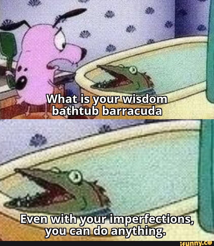 What is your wisdom bathtub barracuda Even with your imperfections, you
