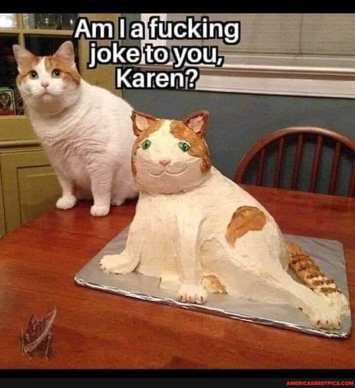Amia fucking joke you,
Karen?