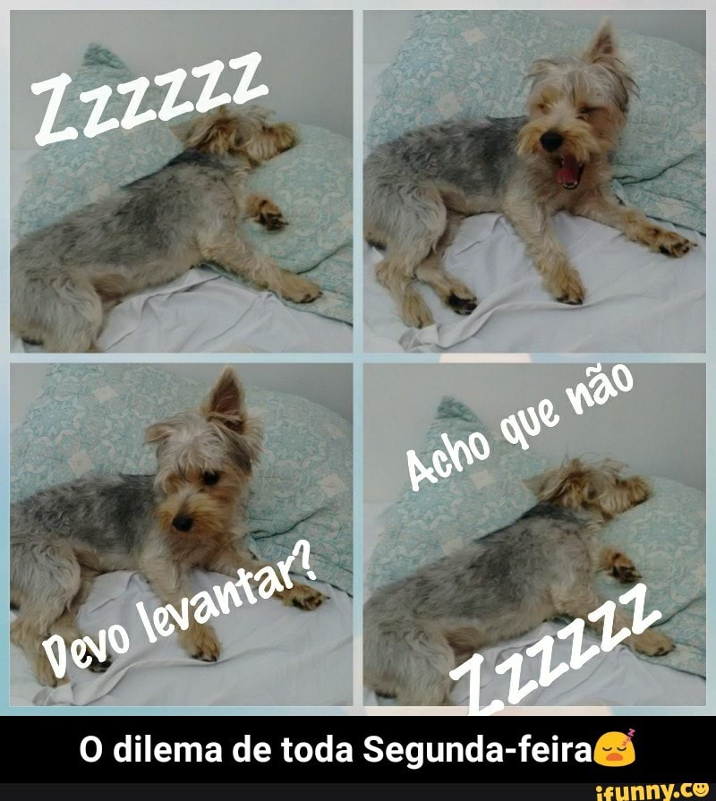 Segunda-feira - O dilema de toda Segunda-feira😴