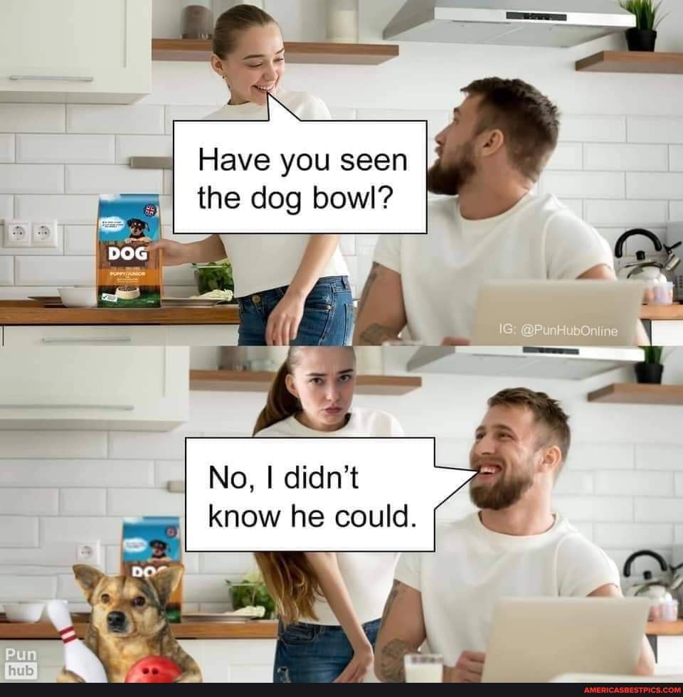 Have you seen I the dog bowl? No, I didn't know he could. America’s