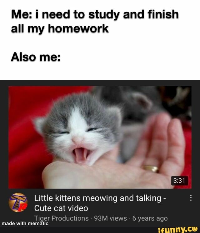 Me: i need to study and finish all my homework
Also me:
Little kittens meowing and talking -
Cute cat video
Tiger Productions - views 6 years ago
with