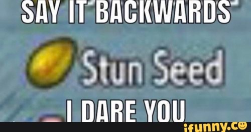 SAY IT BACKWARDS
Stun Seed ail