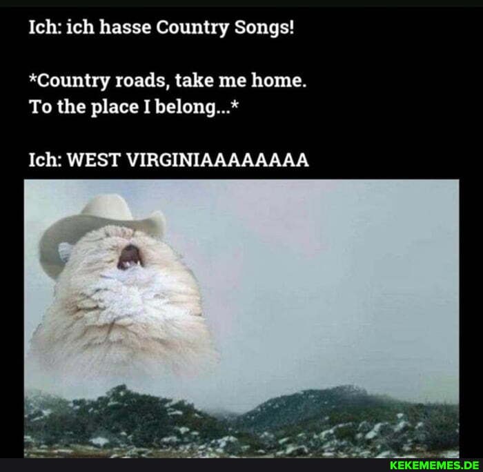 Ich: ich hasse Country Songs!
*Country roads, take me home.
To the place I belong...*
Ich: WEST VIRGINIAAAAAAAA